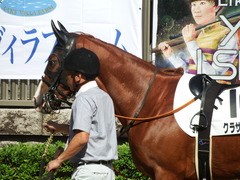 20181021 東京3R 2歳未勝利 クラサーヴィツァ 05