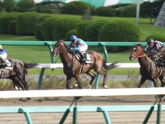 20150919 中山10R 松戸特別 ヴィルトグラーフ 09