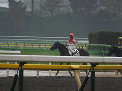 20141129 東京6R 3歳上500万下トレジャーマップ 10