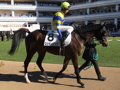 20150112 中山5R 3歳未勝利 ロジダーリング 13