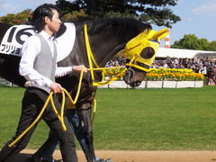 20151025 京都4R 2歳メイクデビュー ブリリョドソル 08
