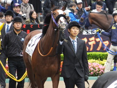20161030 東京1R 2歳未勝利 プンメリン 12