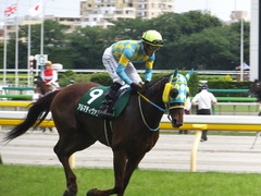 20160612 東京11R エプソムC(G3) アルマディヴァン 16