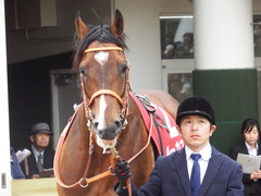20180318 中山11R スプリングS(G2)ルーカス 04
