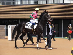 20170312 中山5R 3歳未勝利 バトルオスカー 15