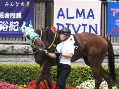 20150628 東京11R パラダイスS アルマディヴァン 07