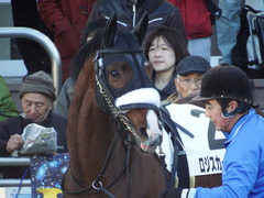 20171228 中山3R 2歳未勝利 ロジスカーレット 10