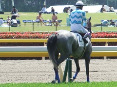 20180421 東京6R 3歳未勝利 ウェディングベール 12