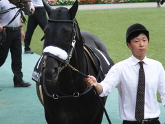 20161010 東京10R オクトーバーS(1600) ショウナンラグーン 20
