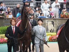 20131109 東京 モーリス 06