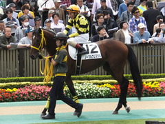 20141102 東京4R ノーブルクリスタル 12