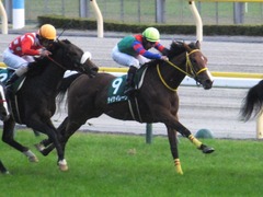 20151031 東京11R アルテミスS(G3) テイケイレーヴ 15