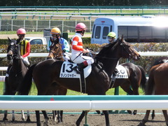 20140321 中山4R ダノンジャガー 12