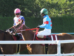 20150920 阪神11R ローズS(G2) レーヌドブリエ 22