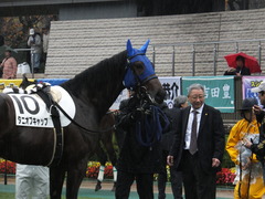 20141129 東京5R 2歳メイクデビュー タニオブキャップ 06