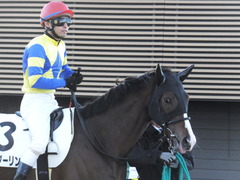 20160124 中山12R 4歳上1000万下 ロジダーリング 18
