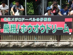 20180527 東京12R 目黒記念(G2) ホウオウドリーム 01