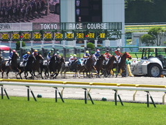 20140614 東京3R レッドリベリオン 12