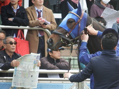 20180318 中山1R 3歳牝馬未勝利 ラプターゲイル 09