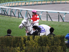 20151227 中山10R 有馬記念(G1) ゴールドシップ 23