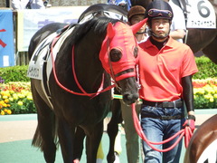 20180603 東京8R(500) ノーザンクリス 05