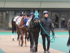 20160130 東京3R 3歳未勝利 アイルーロス 02