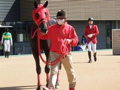 20180303 中山2R 3歳未勝利 ノーザンクリス 22