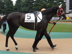 20140621 東京4R トマトリコピン 03
