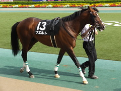 20160508 東京12R(1000)プエルト 03