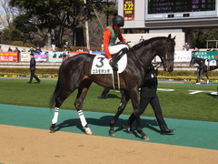 20150221 東京2R 3歳未勝利 コスモポッポ 07