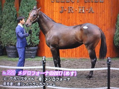 メジロフォーナ2017
