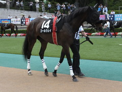 20140629 東京10R ゴールウェイ 02