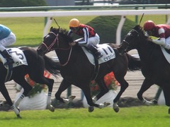 20151024 京都5R 2歳メイクデビュー ピッツバーグ 17