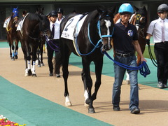 20141026 東京4R サウンドアラムシャ 06