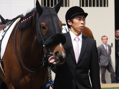 20150412 中山7R 4歳上500万下 ツクバアスナロ 05
