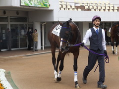 20180407 中山6R 3歳未勝利 エイカイオリンピア 03