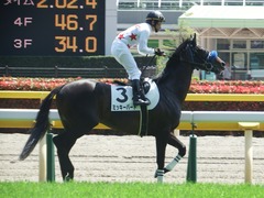 20180421 東京6R 3歳未勝利 ミッキーバード 17