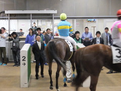 20170506 東京5R 3歳牝馬500万下 ビルズトレジャー 22