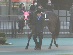 20170204 東京10R 箱根特別(1000) ビップレボルシオン 02