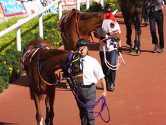 20150920 阪神11R ローズS(G2) レーヌドブリエ 05