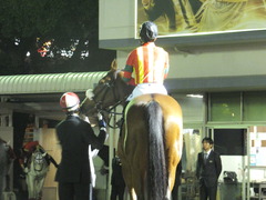 20171129 大井11R 勝島王冠(S3) ユーロビート 07