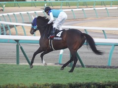 20181228 中山12R (1000) アドマイヤシナイ 18