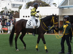 20150104 中山2R 3歳未勝利 ノーブルクリスタル 09