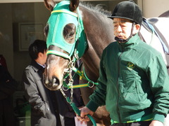 20171228 中山4R 2歳未勝利 アイコンタクト 03