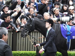 20161030 東京11R 天皇賞・秋(G1) サトノノブレス 07