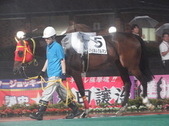 20180523 大井12R 薫風賞 B2 マイネルグルマン 05