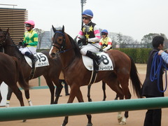 20190112 中山5R 3歳未勝利 ストレートパンチ 22
