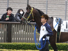 20170218 東京7R 4歳上500万下 ラッシュアタック 04