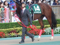 20181117 東京11R 東スポ杯2歳S(G3) アドマイヤスコール 07