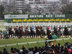 20140126 中山9R オウケンブラック 14